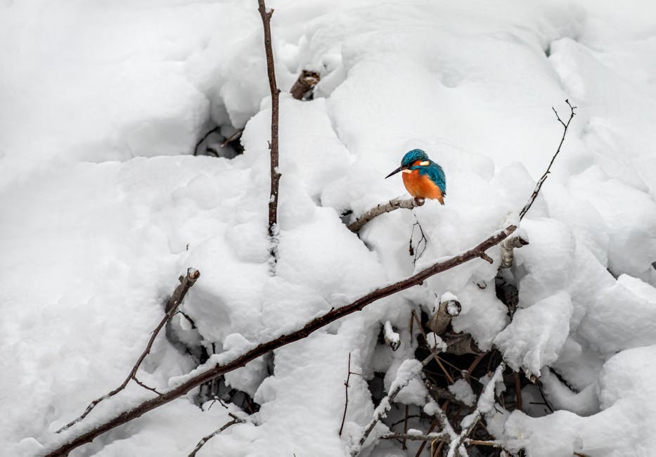 Abstract geometric digital art with sharp fragments and dark gradient palette